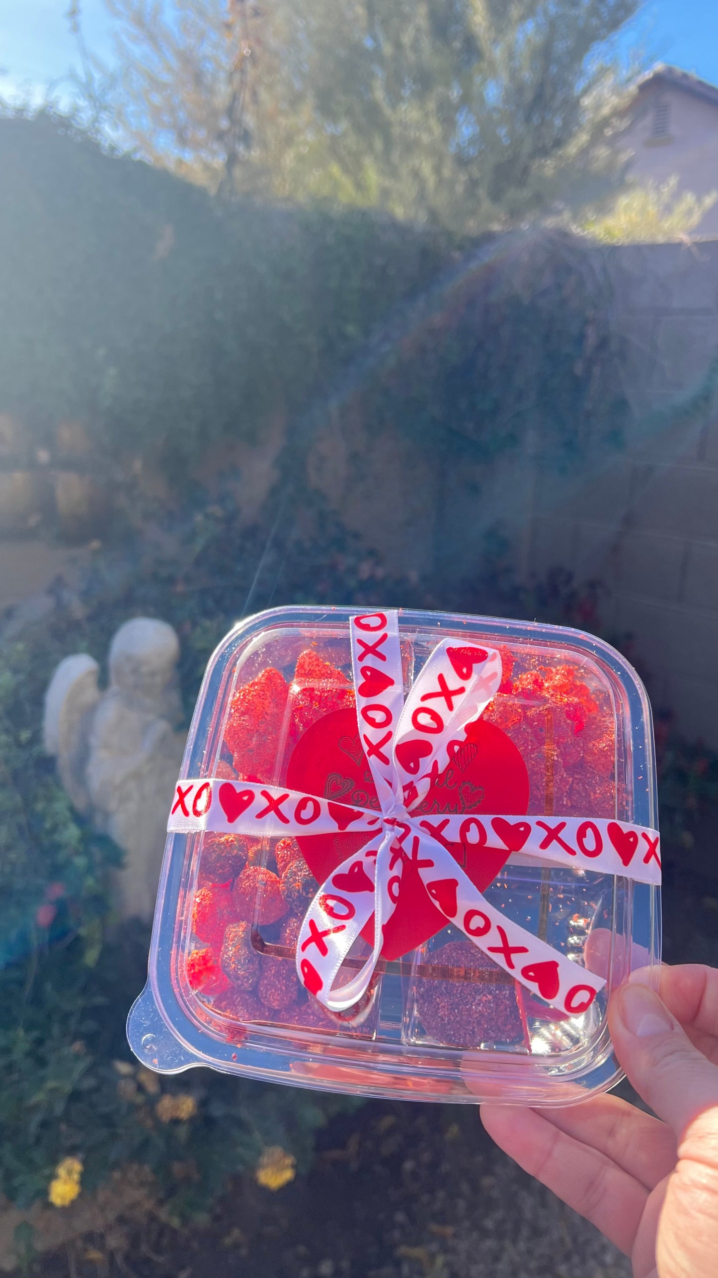 XoXo Vday Bento Box